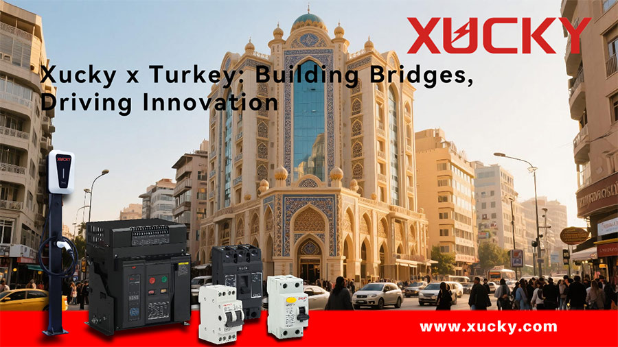 Xucky in Turkey: Client Engagement and Market Insights