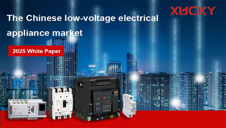 2025 Interpretation of China's Low-Voltage Electrical Appliances White Paper