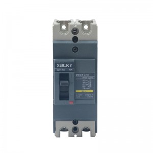 EZC 100 2-poliger Kompaktleistungsschalter
